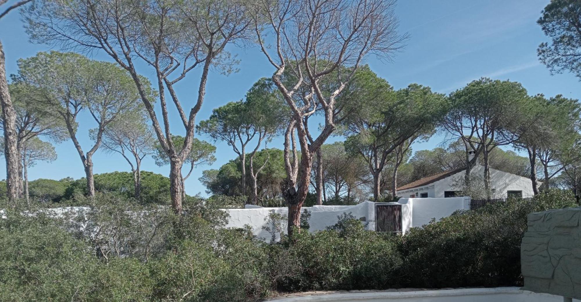 Casa Palmito 2 Villa Chiclana de la Frontera Exterior photo